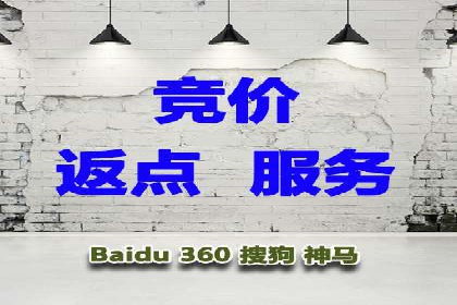 推广竞价策略优化：借鉴成功案例实现精准营销